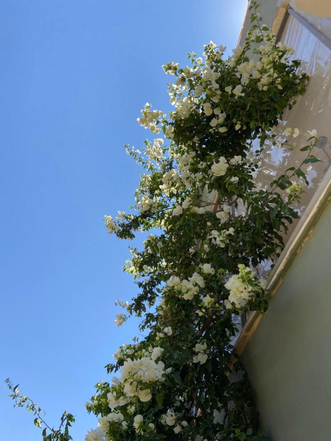 Simple Home Medeba Dış mekan fotoğraf